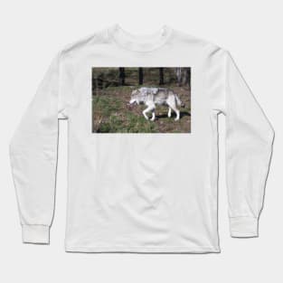 A lone timber wolf in the woods Long Sleeve T-Shirt